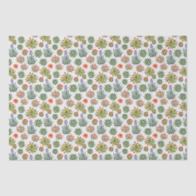 Papier Mousseline Plantes grasses (Recto)