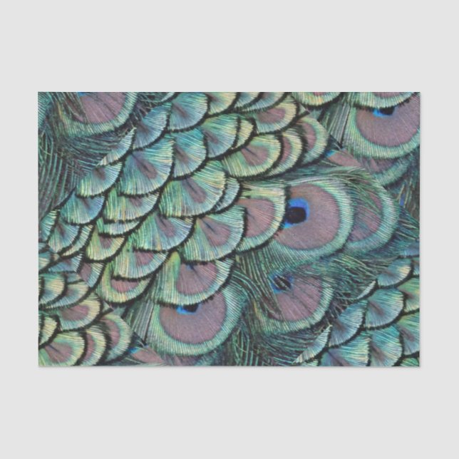 Papier Mousseline plumes de paon (Recto)