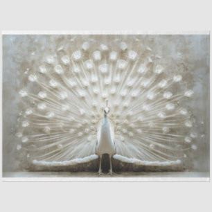 Papier Mousseline Plumes de paon blanc déplié