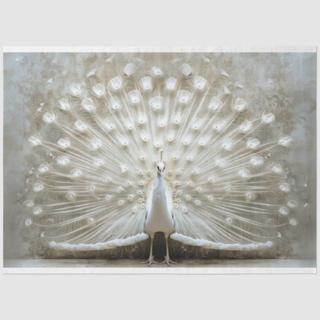 Papier Mousseline Plumes de paon blanc déplié (Recto)