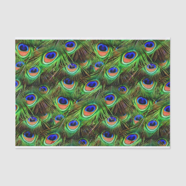 Papier Mousseline Plumes Peacock 7A-B Options (Recto)