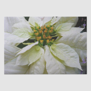 Papier Mousseline Poinsettia Elegant Christmas Holiday Floral