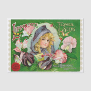 Papier Mousseline Pois doux Catalogue de semences de fleurs 1908