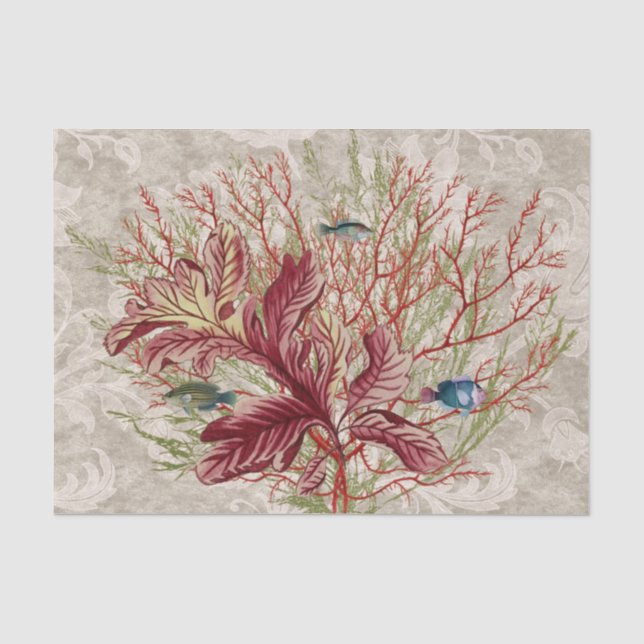 Papier Mousseline Poissons aquatiques de corail rouge (Recto)