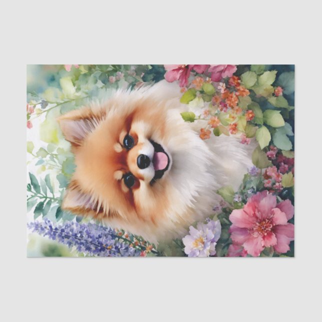 Papier Mousseline Poméranie Florale Aquarelle Canine Art (Recto)