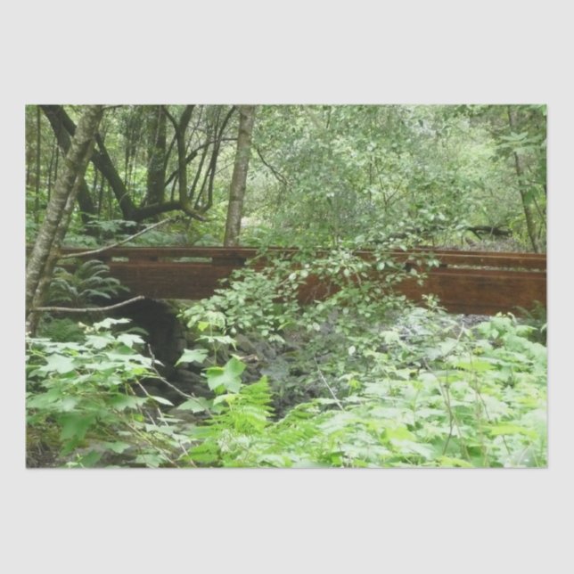 Papier Mousseline Pont Muir Woods I (Recto)