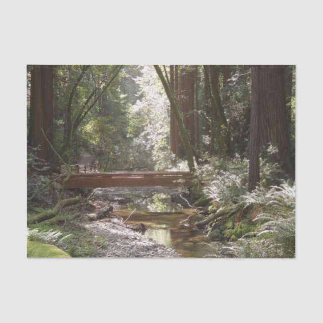 Papier Mousseline Pont Muir Woods II (Recto)