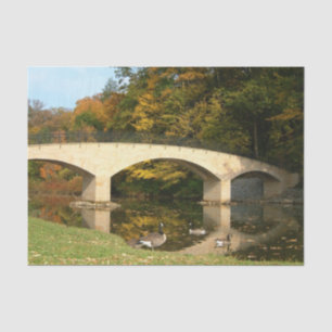 Papier Mousseline Pont Rainbow à l'automne au Grove City College
