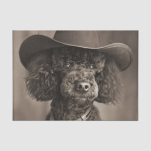 Papier Mousseline Poodle noir habillé en costume d'Halloween Cowboy