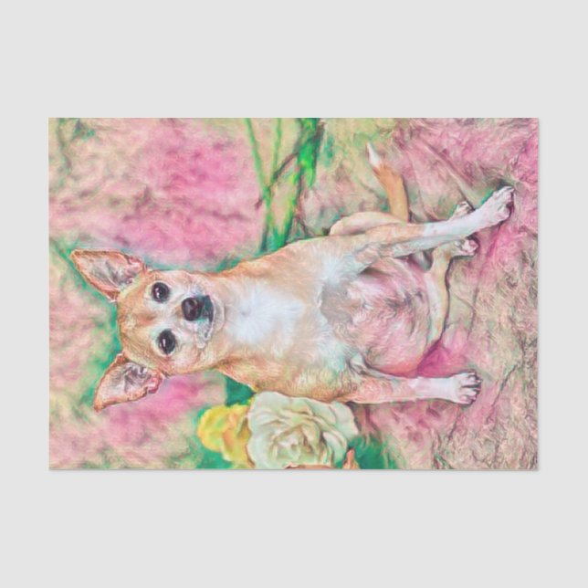 Papier Mousseline Portrait de Chihuahua vert rose pâle (Recto)