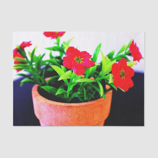 Papier Mousseline Pot de fleurs (Recto)