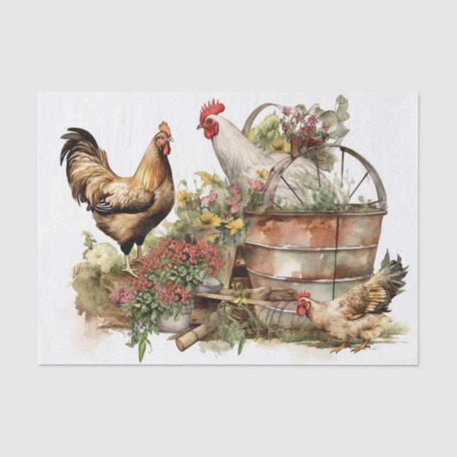Papier Mousseline Poulet frais de ferme (Recto)