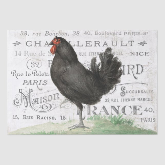Papier Mousseline Poulet Noir Hen Français Ville Nom Paris Découpage (Recto)