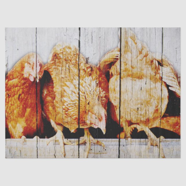 Papier Mousseline Poulets (Recto)