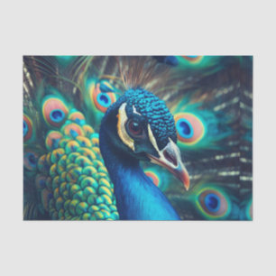 Papier Mousseline Profil Peacock