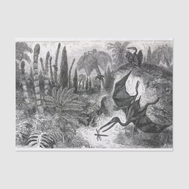Papier Mousseline Pterodactyles jurassiques (Recto)