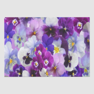 Papier Mousseline Purple Bleu Blanc Pansé Floral Flower Brithday