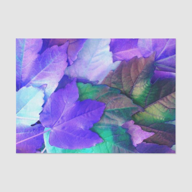Papier Mousseline Purple N Feuilles Turquoises (Recto)