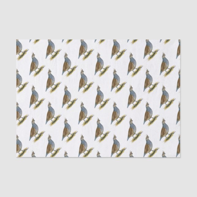 Papier Mousseline Quail à échelle (Recto)
