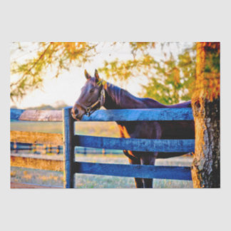 Papier Mousseline Quintessence Kentucky - Cheval En Tissu De Champ P