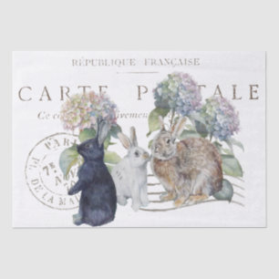 Papier Mousseline Rabbit Hydrangea Carte Postale Carte Fleur Découpa
