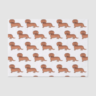 Papier Mousseline Red Long Cheveux Dachshund mignon Motif de dessin