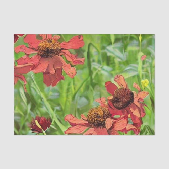 PAPIER MOUSSELINE RED RUDBECKIA FLOWERS (Recto)