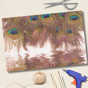 Papier Mousseline Réflexions Des Plumes De Peacock