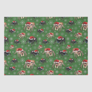Papier Mousseline Regal Jumping Spider Phiddipus Regius Holiday Moss