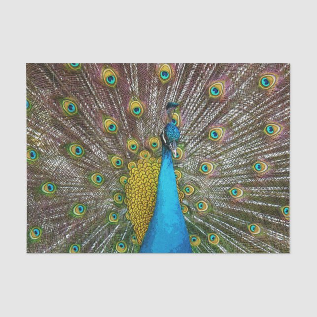 Papier Mousseline Regal Peacock Bird avec Turquoise et Gold Plumage (Recto)