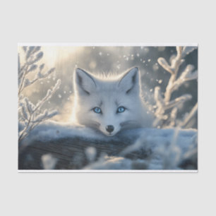 Papier Mousseline Renard arctique aux yeux bleus submergeants