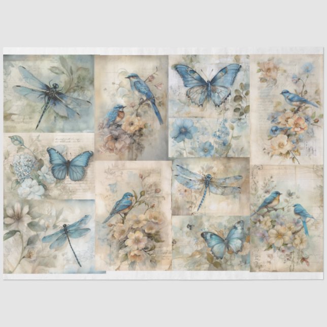 Papier Mousseline Ressort bleu (Recto)