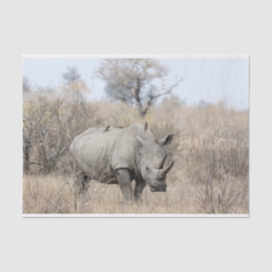 Papier Mousseline Rhino blanc