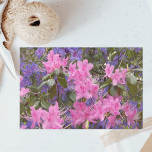 Papier Mousseline Rhododendrons roses et violets