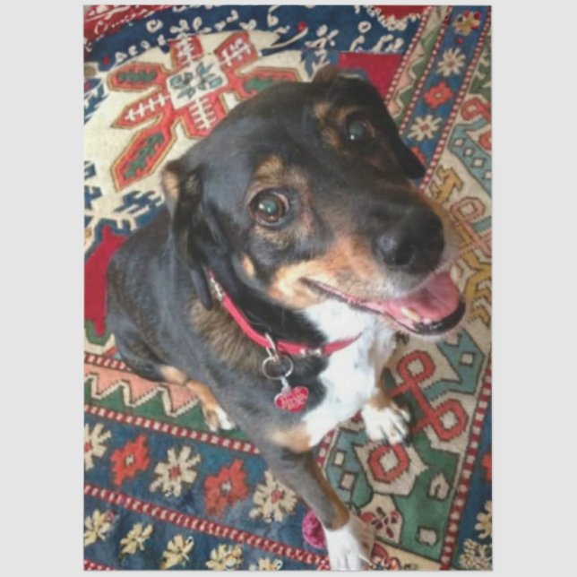 Papier Mousseline Riley 2 (Recto)