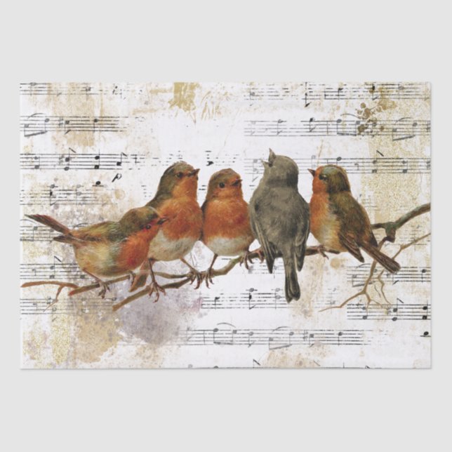 Papier Mousseline Robin Bird Sheet Music Gold Silver Notes Découpage (Recto)