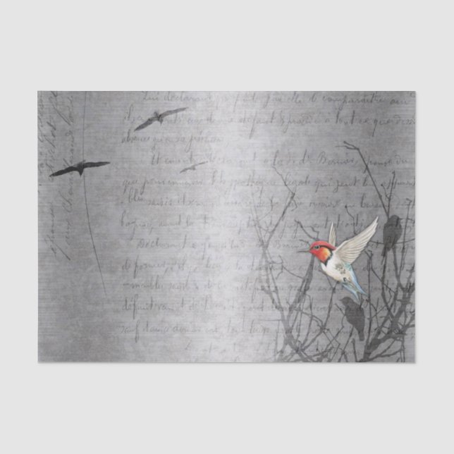 Papier Mousseline Robin prend le vol (Recto)