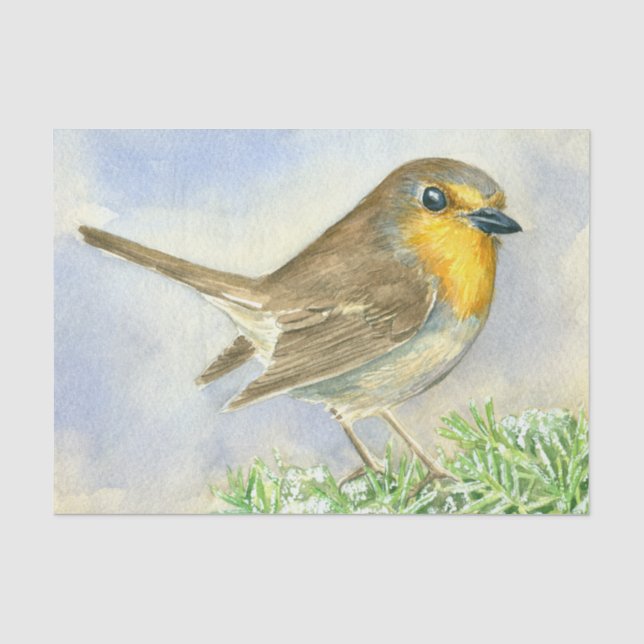 Papier Mousseline Robin sur une branche de genévrier dépoli (Recto)