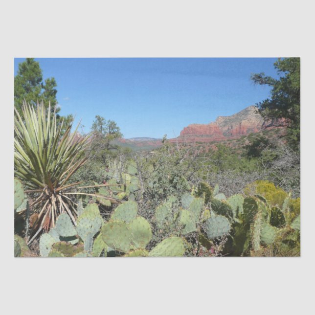 Papier Mousseline Rochers rouges et cactus I (Recto)