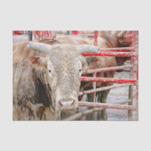 Papier Mousseline Rodeo Bull Russe Country Western