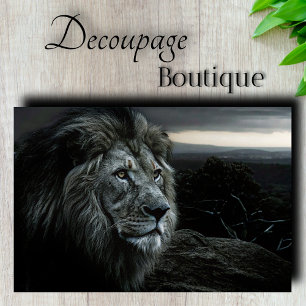 Papier Mousseline Roi Lion Crépuscule Découpage