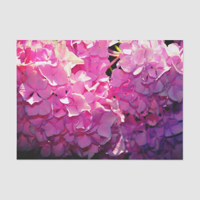Papier Mousseline Romantique rose floral élégant hydrangeas (Recto)