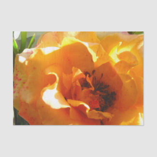 Papier Mousseline Rose assez orange