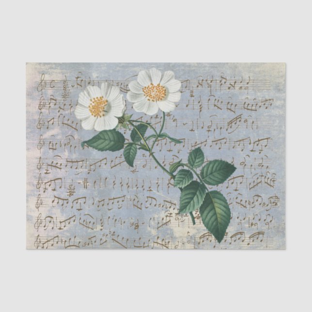 Papier Mousseline Rose Blanche Floral Musique Vintage Bleu Tissu Pap (Recto)
