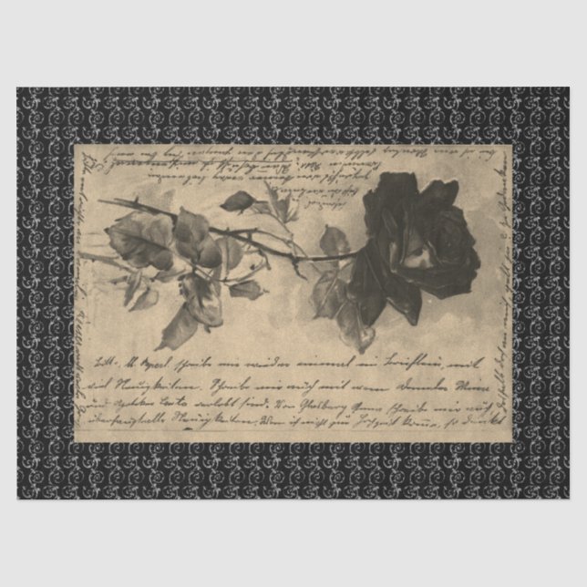 Papier Mousseline ROSE de papier de tissus HALLOWEEN NOIR (Recto)