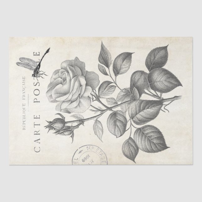 Papier Mousseline Rose Fleur Dragonfly French Postmark Decoupage (Recto)