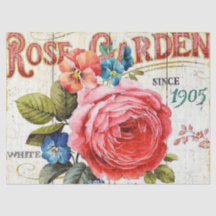 rose vintage rose tous les tissus de la partie