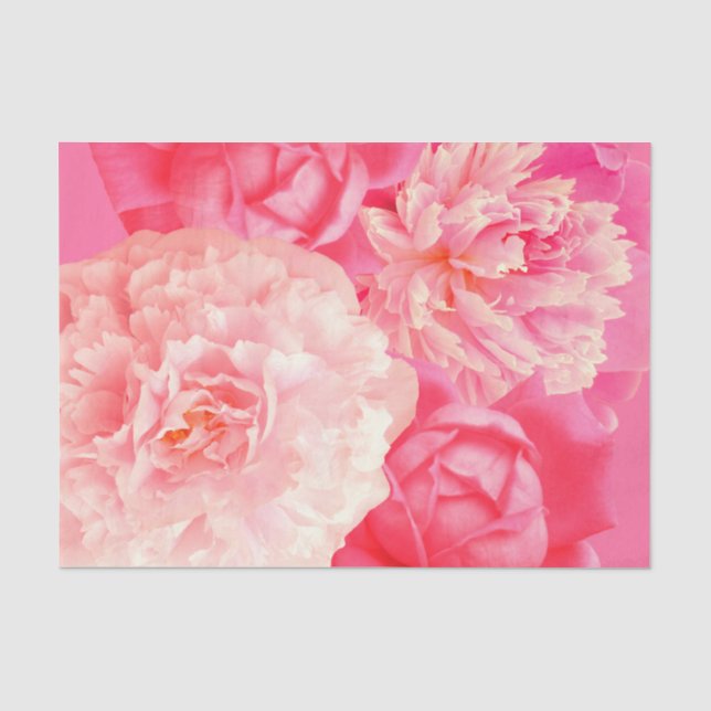 Papier Mousseline Roses de pivoines de pêche de rose de papier de (Recto)
