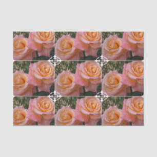 Papier Mousseline Roses en pastel