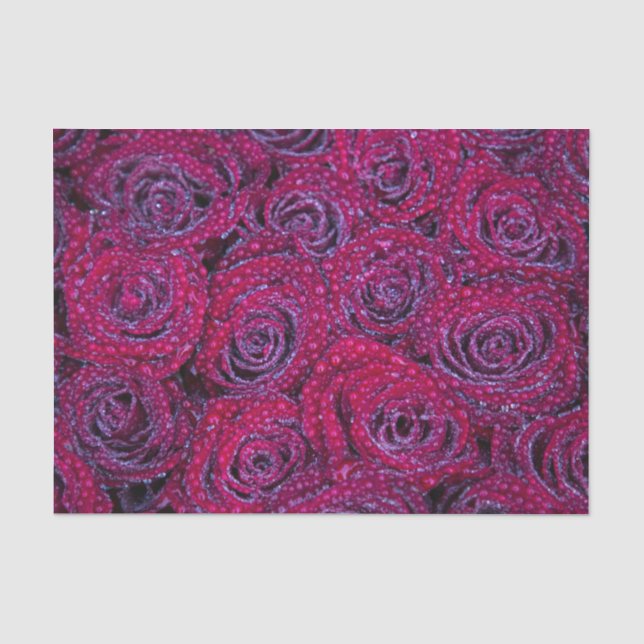 Papier Mousseline Roses violets et gouttes de pluie (Recto)